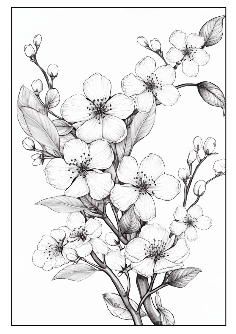 30 Printable Grayscale Coloring Pages With Flowers, for Kids and Adults ...
