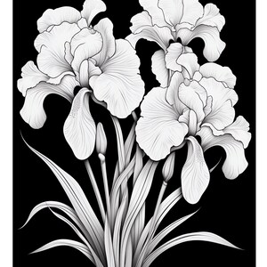 Pu&ograve; includere: Un disegno in bianco e nero di un bouquet di iris. I fiori sono in piena fioritura e hanno petali delicati. Le foglie sono lunghe e sottili.