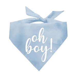 Oh Boy! Triangle Dog Bandana