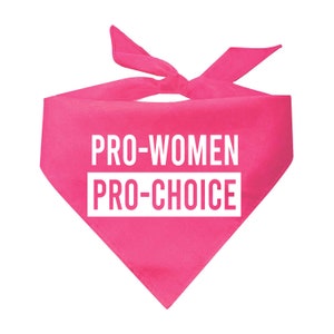 Pro-Women Pro-Choice Feminist Triangle Dog Bandana