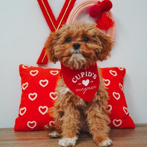 May include: A small brown and white dog wearing a red bandana with the text "Cupid's wingman" in white. The dog is sitting on a red pillow with white hearts.