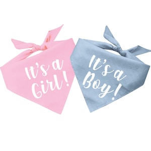 It&#39;s A Girl Or It&#39;s A Boy Gender Reveal Dog Bandana