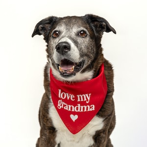 Love my Grandma Triangle Dog Bandana