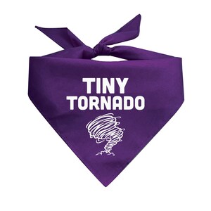 Tiny Tornado Triangle Dog Bandana