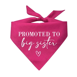Promoted To Big Sister Pregnancy Announcement Triangle Dog Bandana