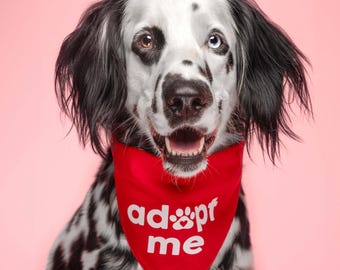 Adopt Me Triangle Dog Bandana (Assorted Colors Available)
