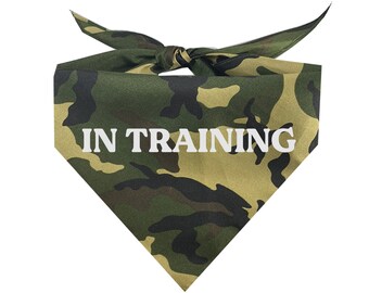 In Training Triangle Dog Bandana