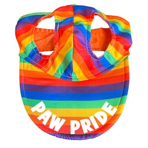 May include: A rainbow-striped dog hat with the words "PAW PRIDE" in white block letters. The hat has two holes for the dog's ears and a curved brim. The colors include red, orange, yellow, green, blue, and purple.