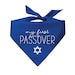 see more listings in the Hanukkah/Jewish Holiday section