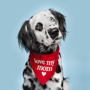 Love My Mom Dog Mom Mothers Day Triangle Dog Bandana (Assorted Colors Available)
