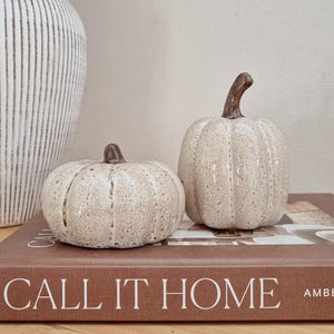 May include: Two ceramic pumpkins with a speckled cream finish and brown stems. The pumpkins are ribbed and sit on a brown book titled CALL IT HOME. The smaller pumpkin is on the left and the taller, slightly larger pumpkin is on the right.