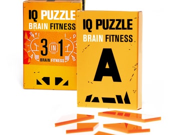 SET OF 3 Geek Toys IQ Puzzle Brain Fitness Games Brain Teaser Puzzles for Adults and Kid Puzzle Mind Puzzles Brain Games