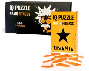 SET OF 11 Geek Toys IQ Puzzle Brain Fitness Games Brain Teaser Puzzles for Adults and Kid Puzzle Mind Puzzles Brain Games