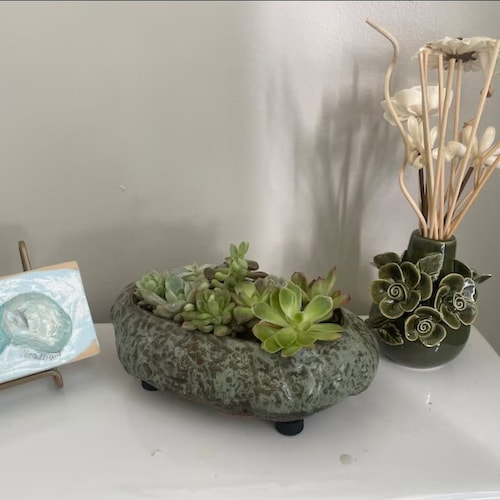 Premium Large Shallow Succulent Planter Pot Ceramic With Etsy