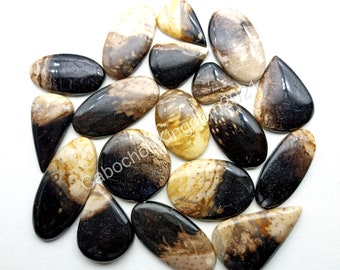 Natürlicher Palm Root Achat Edelstein Cabochon - Versteinerter Palm Root Achat - Palm Root Achat Schmuck, Multi Schmuckstein, loser Edelstein