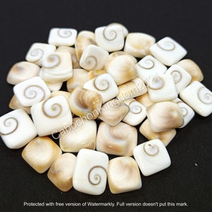 Può includere: Un mucchio di cabochon quadrati di conchiglia bianca e marrone con un motivo a spirale.