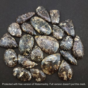 Natural Turritella Agate Gemstone Cabochon - Turritella Agate Cabochon lot - Turritella jewelry - Multi Jewelry Making Stone, Loose Gemstone