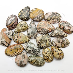 Natural Leopard Skin Jasper Gemstone Cabochon - Leopard Jasper jewelry - Leopard Skin Jasper - Multi Jewelry Making Stone, Loose Gemstone