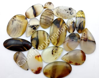 May include: A collection of 15 agate cabochons in various shapes and sizes. The cabochons are a mix of brown, white, and black with intricate patterns.