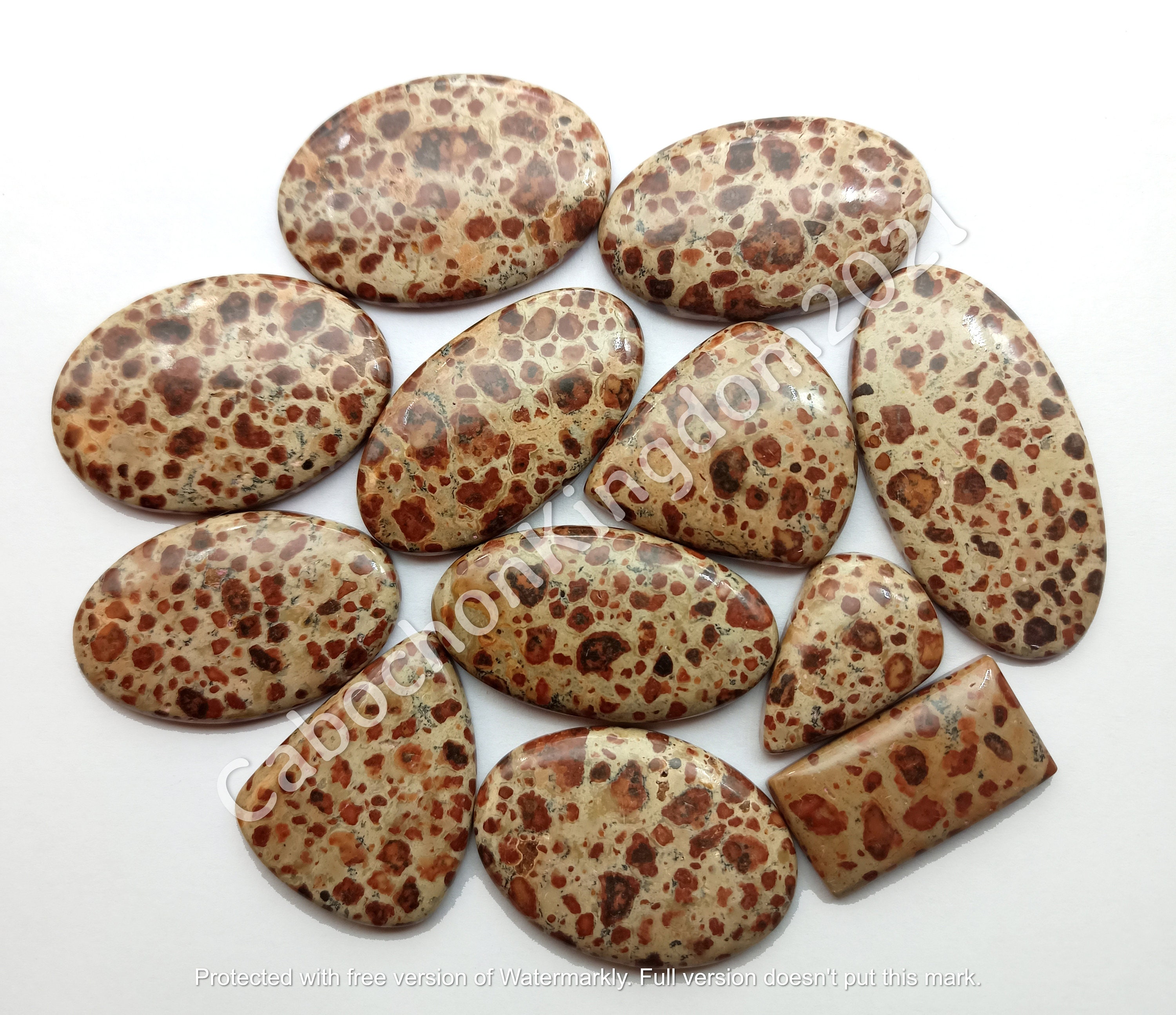 Natural Leopardite Jasper/Asteroid jasper Gemstone Cabochon - Leopardite jewelry - Leopardite - Multi Jewelry Making Stone, Loose Gemstone