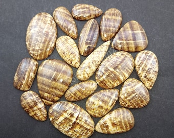 Natural Aragonite Gemstone Cabochon - Aragonite Gemstone - Aragonite jewelry - brown Aragonite - Multi Jewelry Making Stone, Loose Gemstone