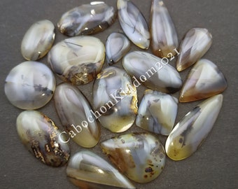 May include: A collection of 14 agate cabochons in various shapes and sizes. The cabochons are a mix of gray, white, and brown colors with intricate patterns. The cabochons are arranged in a circle on a gray background.