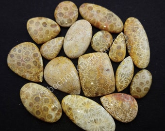 Natural Fossil Coral gemstone Cabochon - Fossil Coral Jewelry - Fossil Coral gemstone - Coral - Multi Jewelry Making Stone, Loose Gemstone