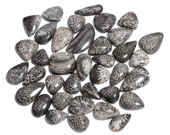 Natural Black Fossil Coral Gemstone Cabochon - Coral Jewelry - fossilized coral cabochon - Multi Jewelry Making Stone, Loose Gemstone