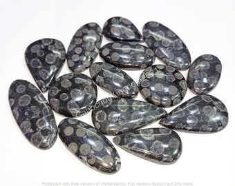 Cabujón de coral fósil negro natural - Joyería de coral fósil - Gema de coral fósil AAA - Piedra para la fabricación de joyas, gema suelta