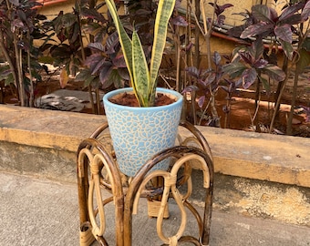 Cane Plant Stand - Elegant Arch Design - 38 cm Height - Handmade and Natural