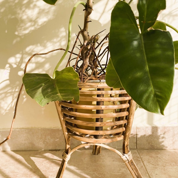 Rattan Plant Stand Etsy