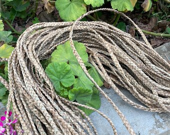 Natural Hand-Braided Water Hyacinth Ropes - Pack of 50 Meters