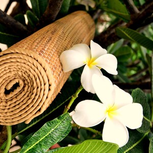 Pu&ograve; includere: Un tappetino da yoga marrone arrotolato con una trama intrecciata, appoggiato su foglie verdi e fiori bianchi. I fiori hanno cinque petali e un centro giallo.