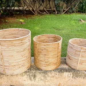 Set di fioriere in rattan: versatile, ecologico ed elegante - 100% naturale e fatto a mano