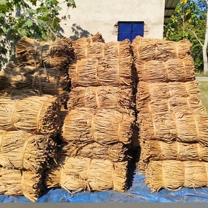 Dried Water Hyacinth Strands - Natural Craft Material, Basket Weaving