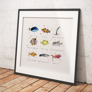 Tropical - Sélection de croquis de différents poissons - Tirages d'art et cartes de vœux en édition limitée