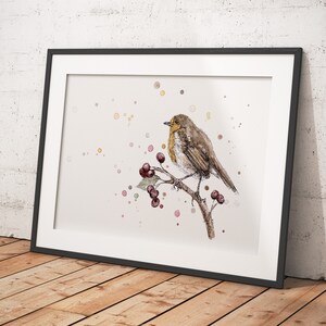 Robin Study - Impressões de arte de pássaros de edição limitada e cartões de felicitações