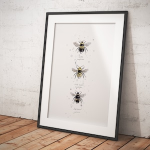 Bumble Bees - Selection of bee giclee prints - Limited Edition Art Prints & Greetings Cards