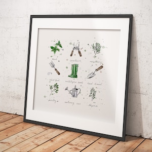 Gardeners World - Sélection de croquis de différents articles de jardinage - Tirages d'art et cartes de vœux en édition limitée