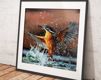 Kingfisher Artwork - Canvas & print bird animal art in a range of sizes and styles - King Of The North