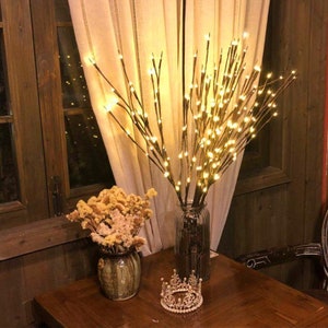 2 Pack Lighted Twig Branches 40 LED Battery Powered Decorative Branches Artificial Willow White Lighting Branch Lights