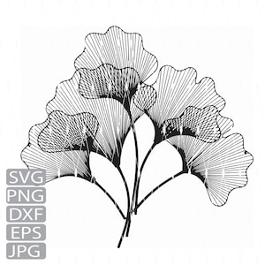 Gingko Leaves Svg, Png, Eps, Dxf, Instant Download |Unforgettable Leaf | Gingko Leaf art