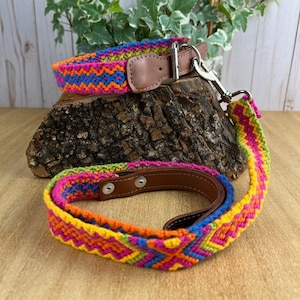 Hundehalsband und Leine Set, Handgemachtes Hundehalsband, Handgemachte Leine, Bunte Leine und Halsband, Handgestricktes Hundehalsband und Leine