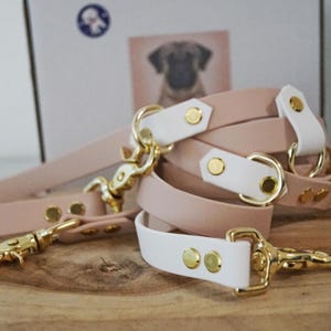 Peut inclure: Une laisse pour chien rose et blanche avec des accessoires dorés et deux clips. La laisse est faite d'un matériau doux et durable et est parfaite pour promener votre chien.