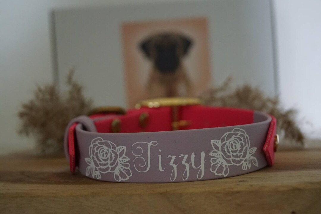 Collier biothane lila