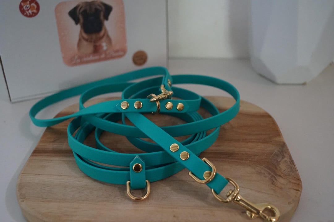 Laisse bandoulière multipositions petit chien ou chiot en biothane - Etsy France