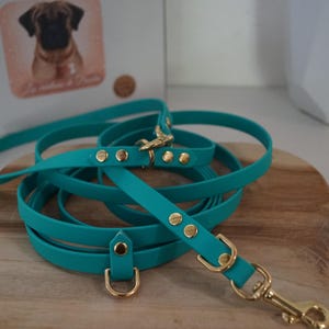 Peut inclure: Une laisse pour chien de couleur bleu turquoise avec des accessoires dorés et un fermoir doré. La laisse est enroulée sur une surface en bois.