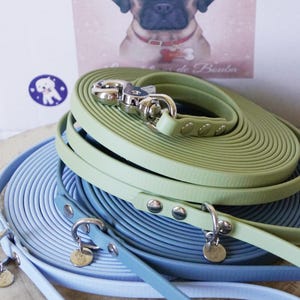 Peut inclure: Plusieurs laisses enroulées pour chiens, de couleur vert clair et bleu clair, avec des fermoirs et des accessoires en métal argenté. Un portrait de chien est visible en arrière-plan.