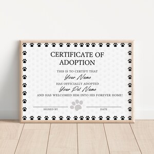 Editable Certificate Of Adoption Template, Printable Pet Adoption Party Certificate Template, Gotcha Day Certificate, Canva Template. TDS-09 image 5