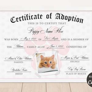 Pet Adoption Certificate Template, Editable Certificate Of Adoption, Printable Gotcha Day Certificate, Cat Dog Adoption Certificate. TDS-09
